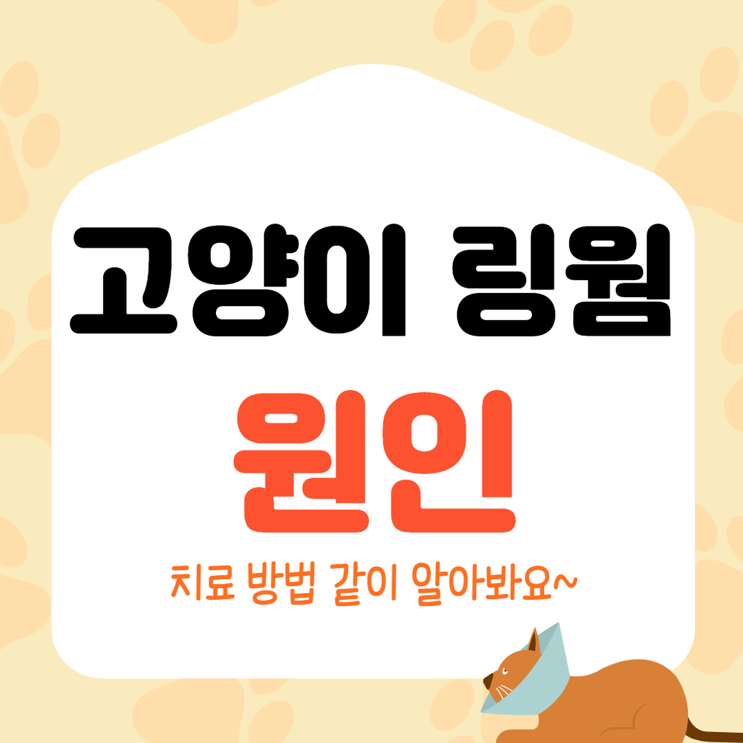  고양이 링웜 원인과 치료 방법 알아봐요