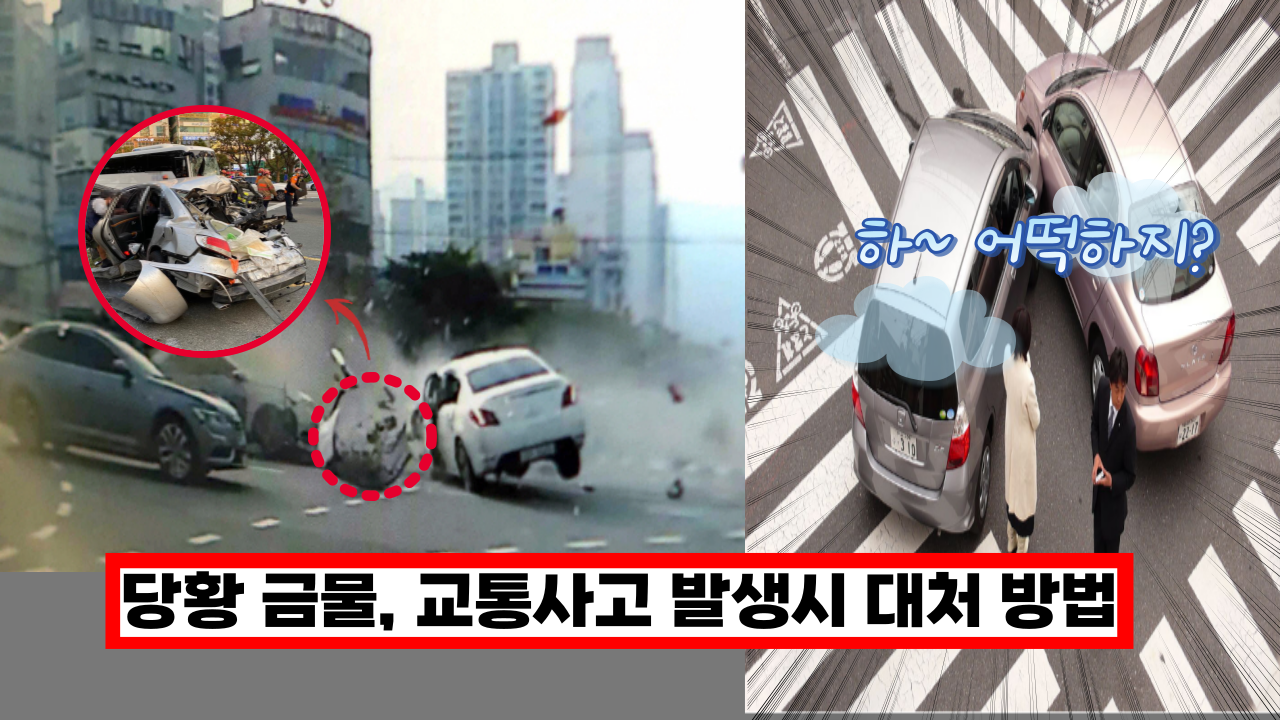  '이걸 모르면 뺑소니로 오해 받아요' 보험사 직원이 알려주는 교통사고 발생시 대처 방법