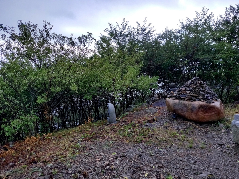 img.jpg