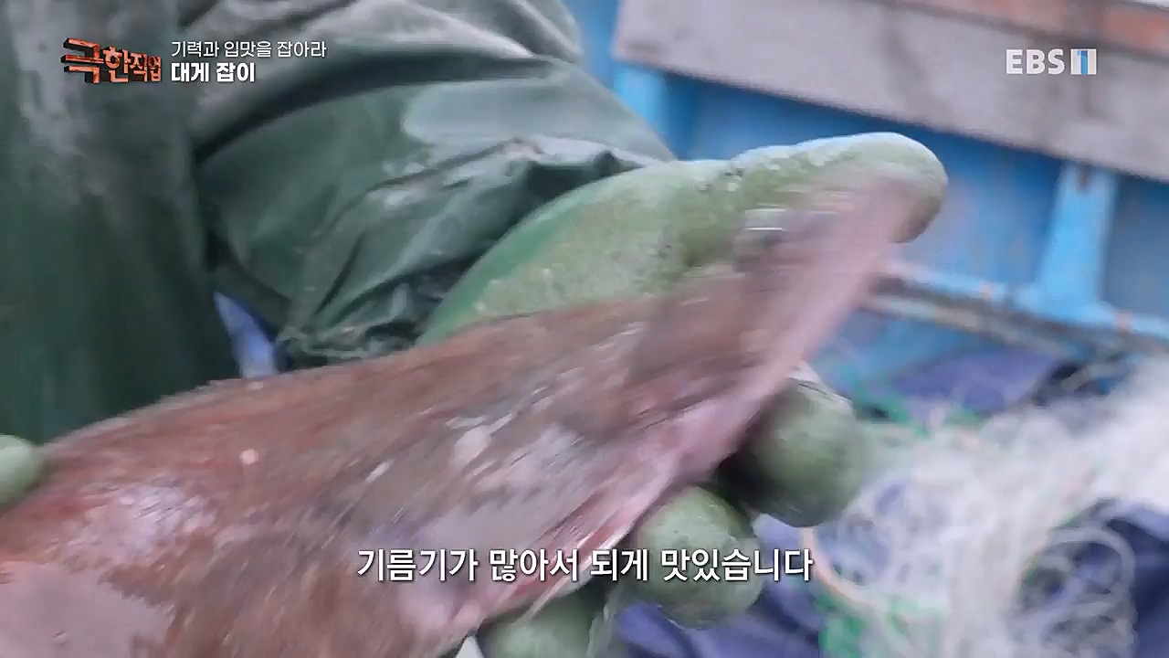 TV - 교육의 중심 EBS기력과 입맛을 잡아라 장어와 대게.mp4_20230313_183620.852.jpg