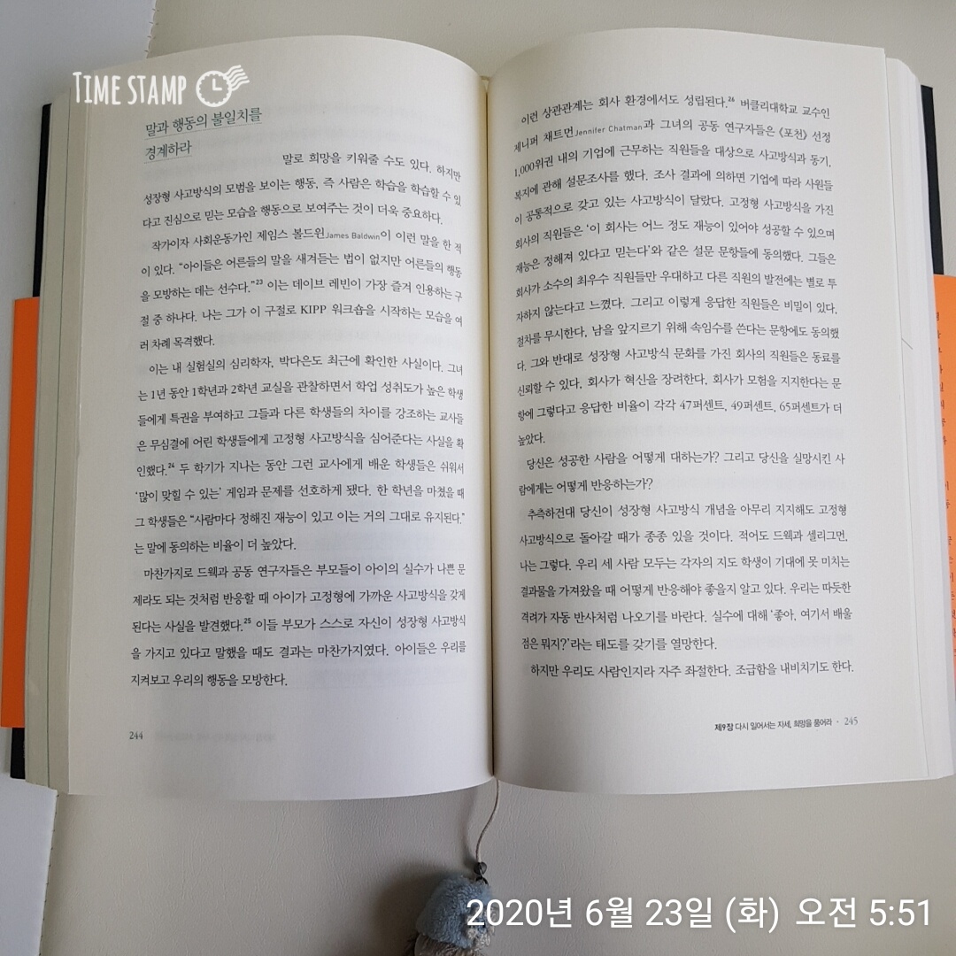  그릿(Grit)에서 성장형 사고방식