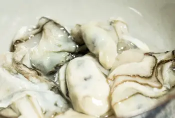 통영 생굴 1KG 가격&amp;#44; 굴 효능 및 영양소