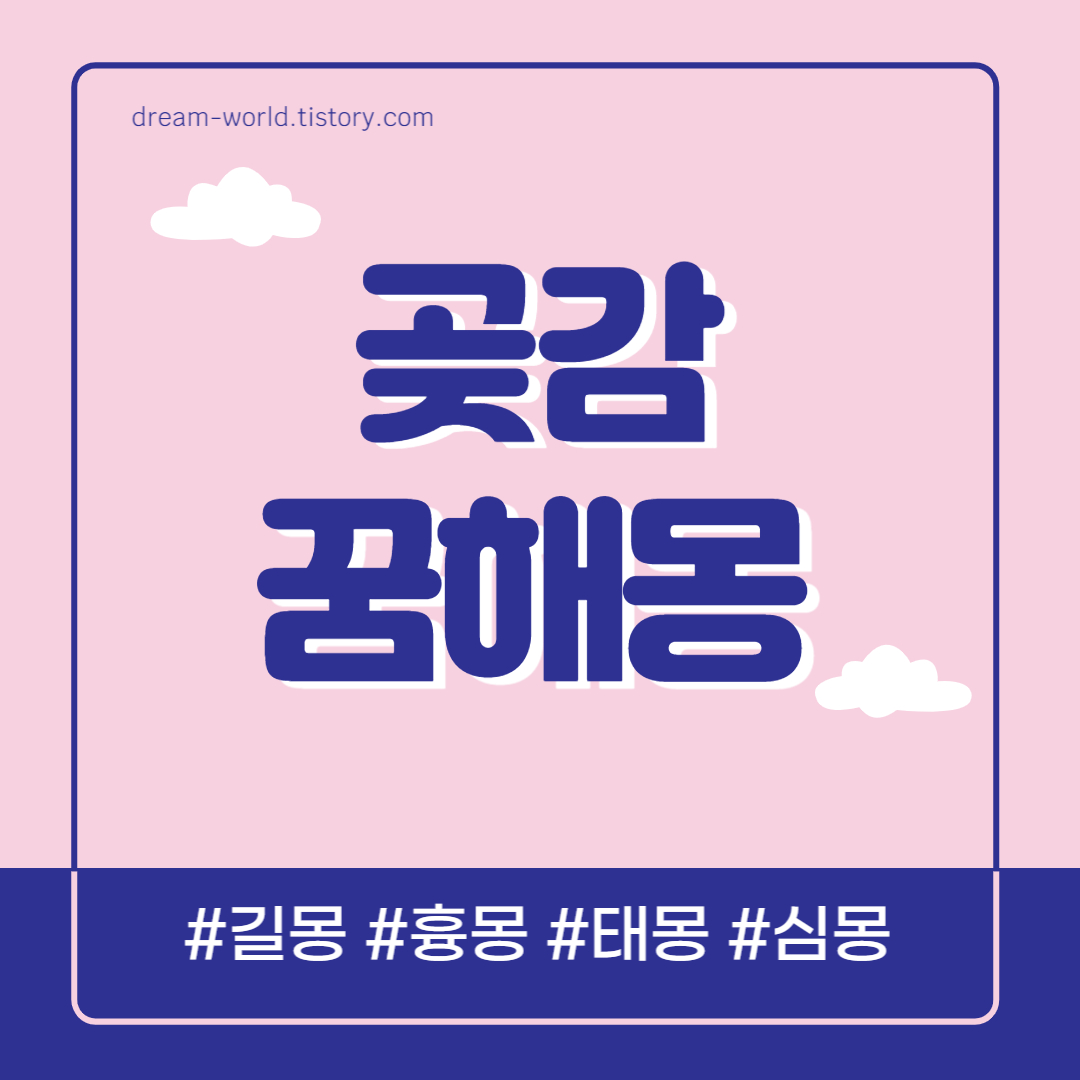  곶감 꿈해몽 15가지 총정리 (곶감꿈 태몽, 곶감 먹는 꿈해몽, 곶감 사는 꿈 풀이)