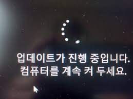 윈도우11 업데이트 중 문제발생