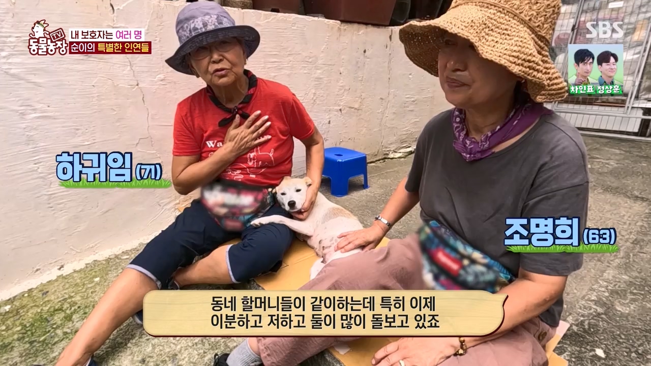 TV 동물농장.E1143.231030p-NEXT.mp4_20231029_164058.263.jpg