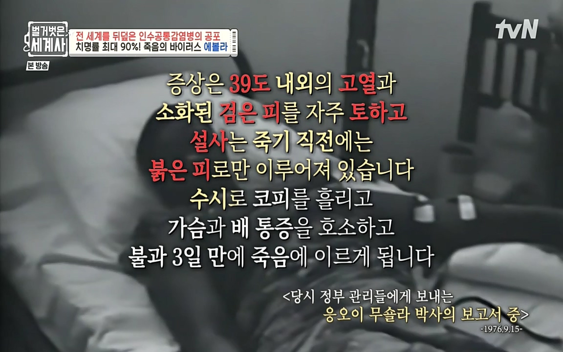 벌거벗은 세계사.E59.220810p-NEXT.mp4_20220810_212414.671.jpg
