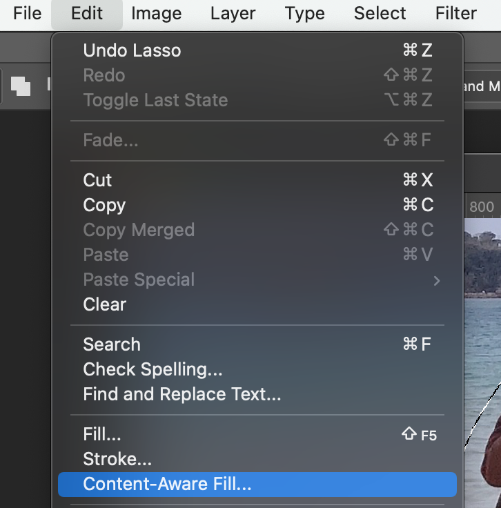 내용인식 채우기 찾는 방법