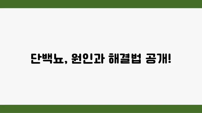 단백뇨 원인과 없애는 방법 11가지