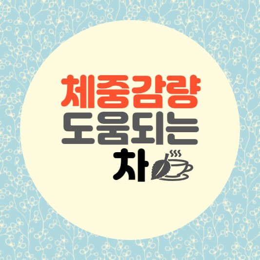  체중감량에 도움을 주는 7가지 차