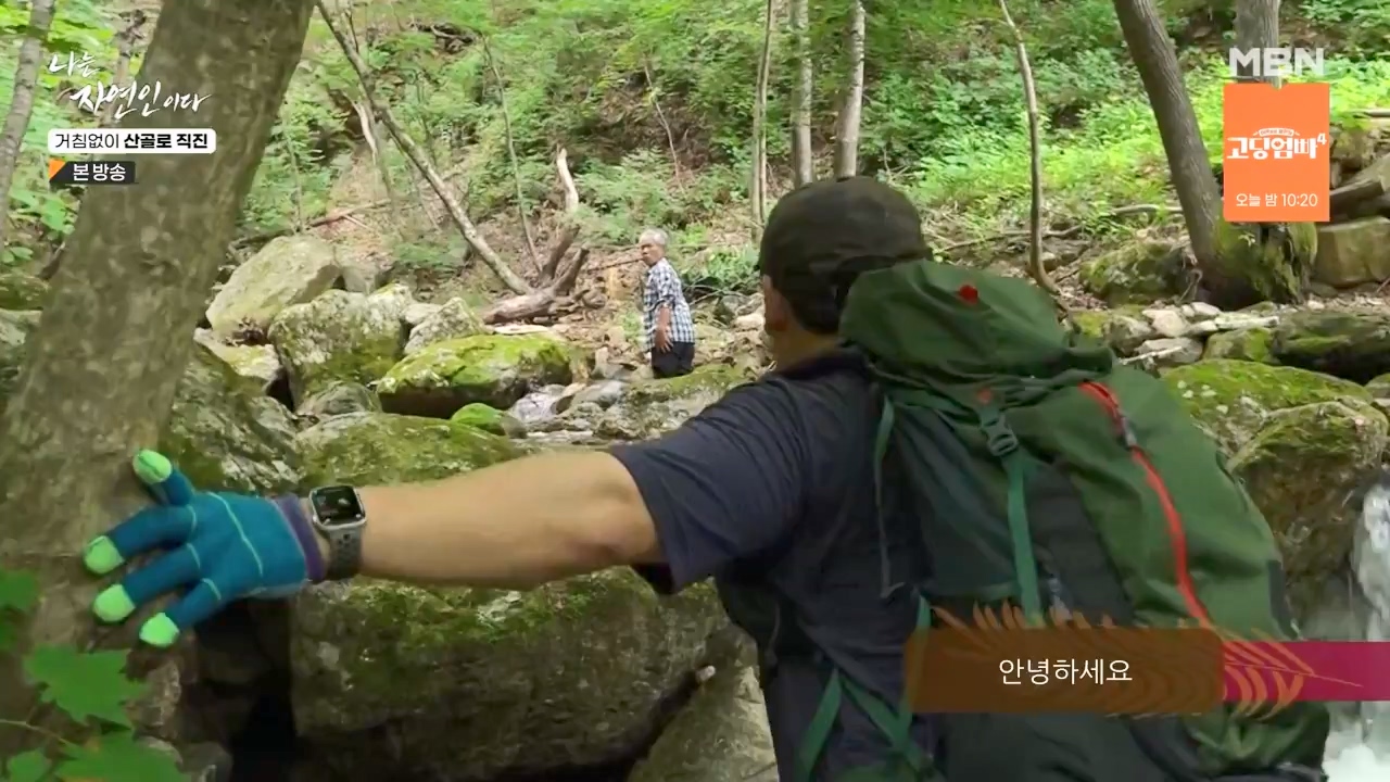 나는 자연인이다.E564.230727p-NEXT.mp4_20230727_211921.379.jpg