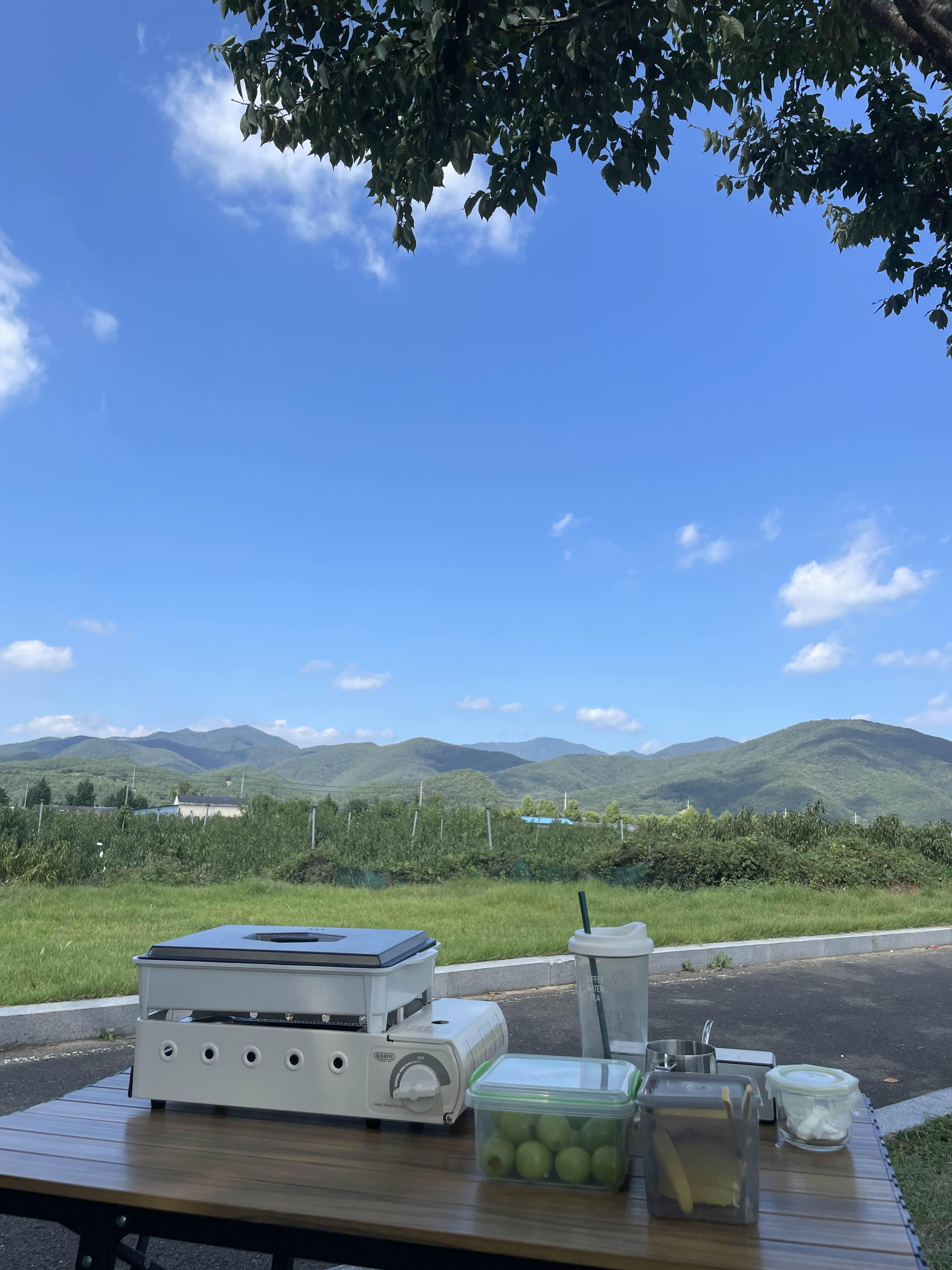 피크닉