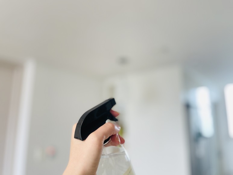 초파리 벌레 극혐오 4가지 활용법 초파리 벌레 극혐오 4가지 활용법