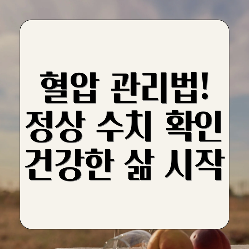 혈압 정상 수치