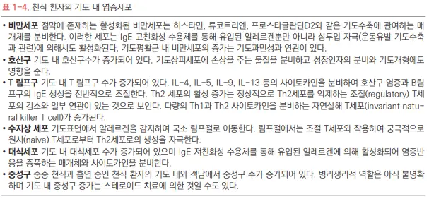 천식 환자의 기도 내 염증세포