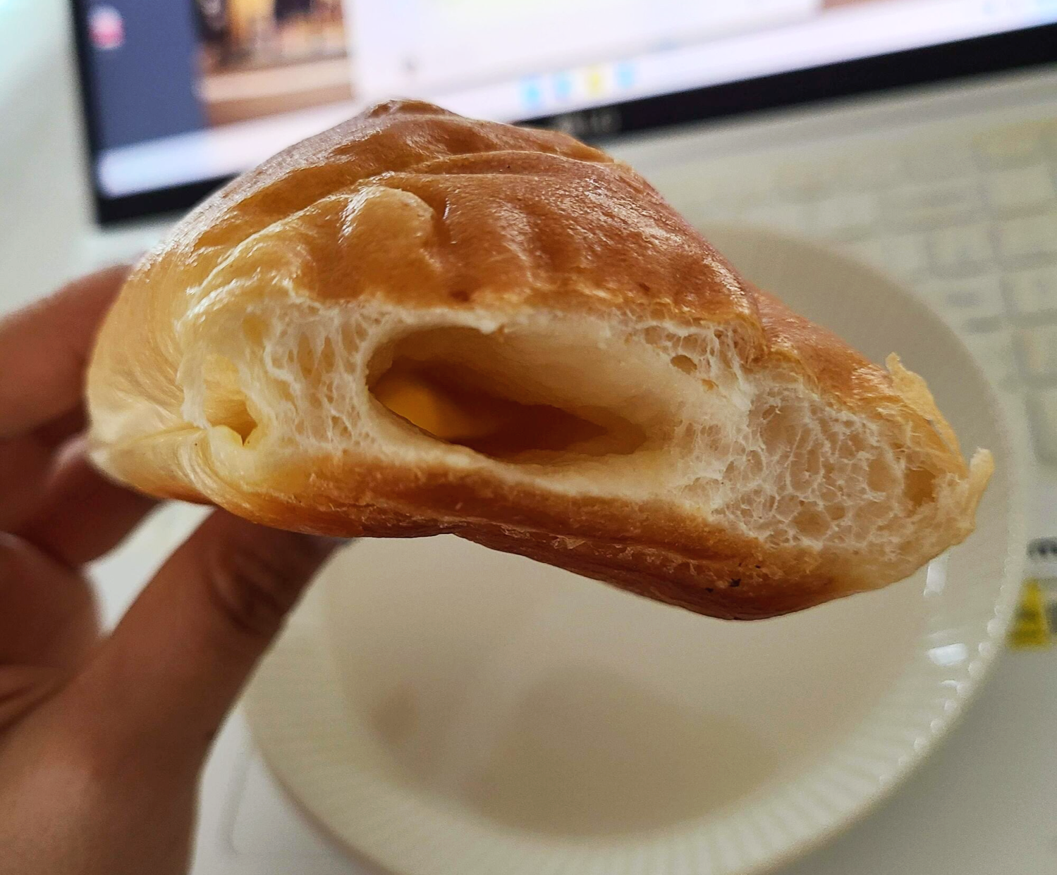 실리제롬