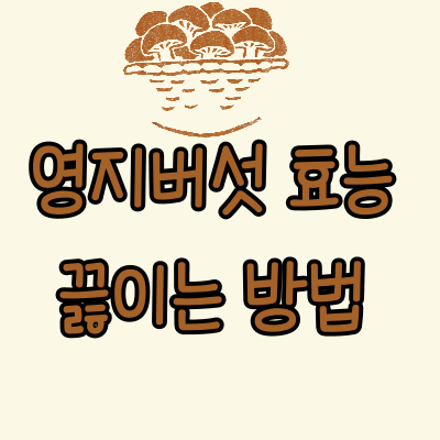  영지버섯효능,영지버섯끓이는법