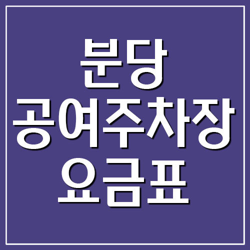  분당 공영주차장 요금표 주차비