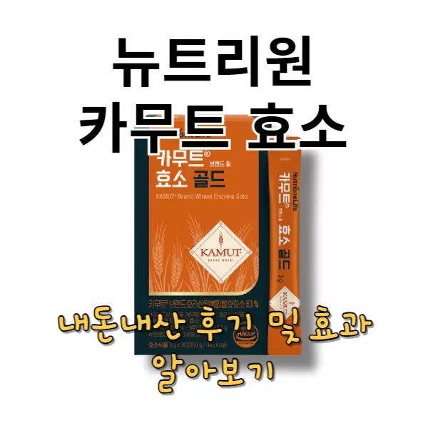 뉴트리원 이효리 카무트 효소 내돈내산 후기, 효과는