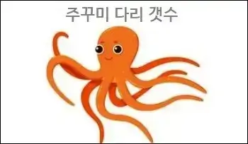 주꾸미 다리 갯수