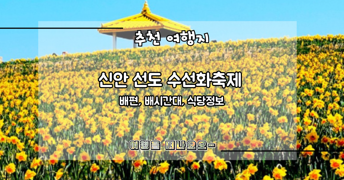 신안 선도 수선화축제