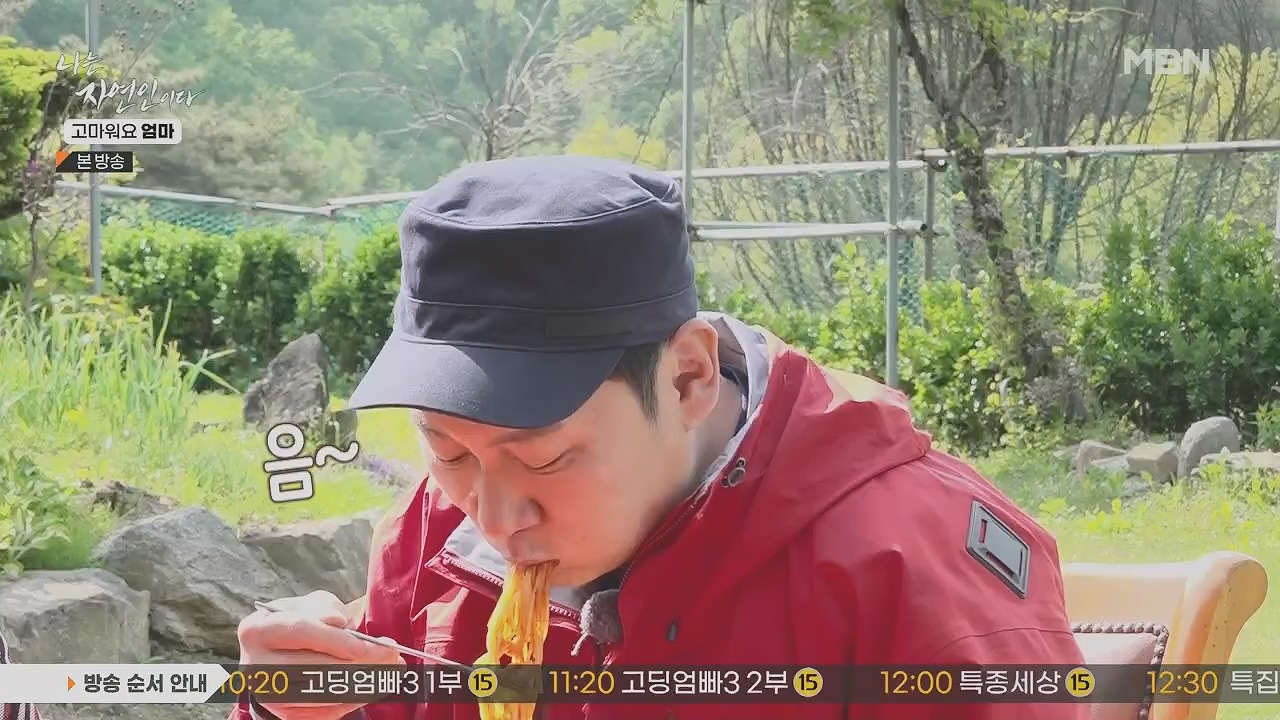 나는 자연인이다.E554.230518p.H264-F1RST.mp4_20230518_194523.496.jpg