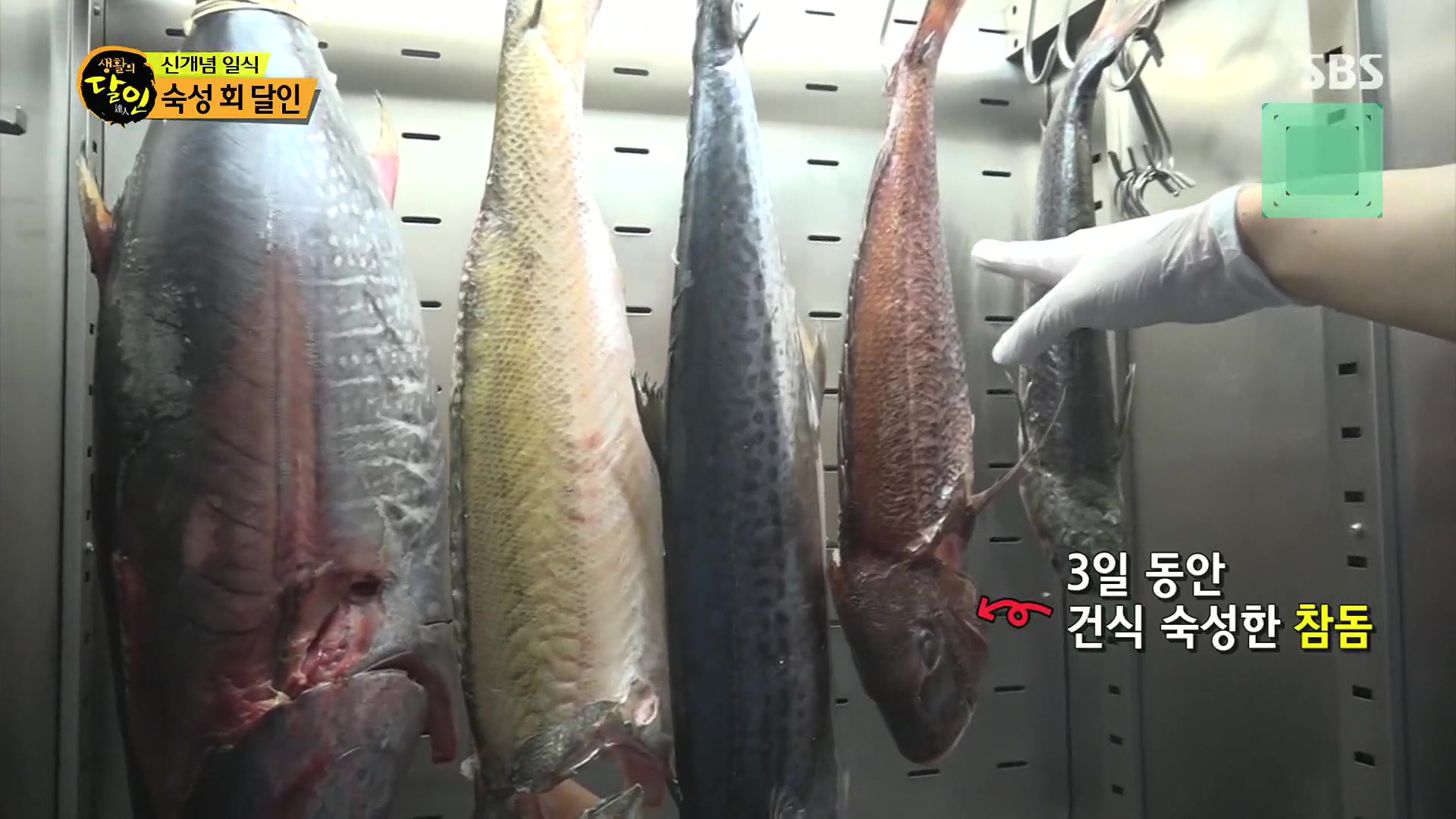 생활의 달인.E939.240610p.H264-F1RST.mp4_20240611_195702.751.jpg