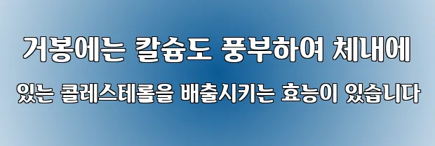  거봉에는 칼슘도 풍부하여 체내에 있는 콜레스테롤을 배출시키는 효능이 있습니다