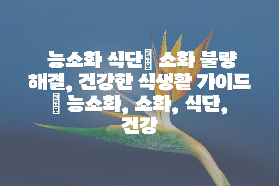 샘플 (45)