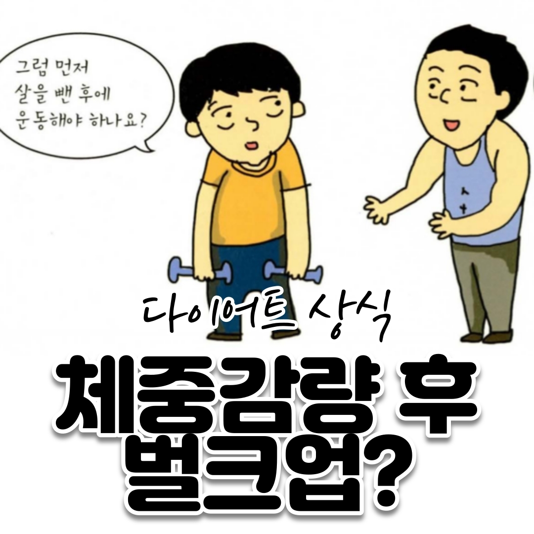 벌크업방법