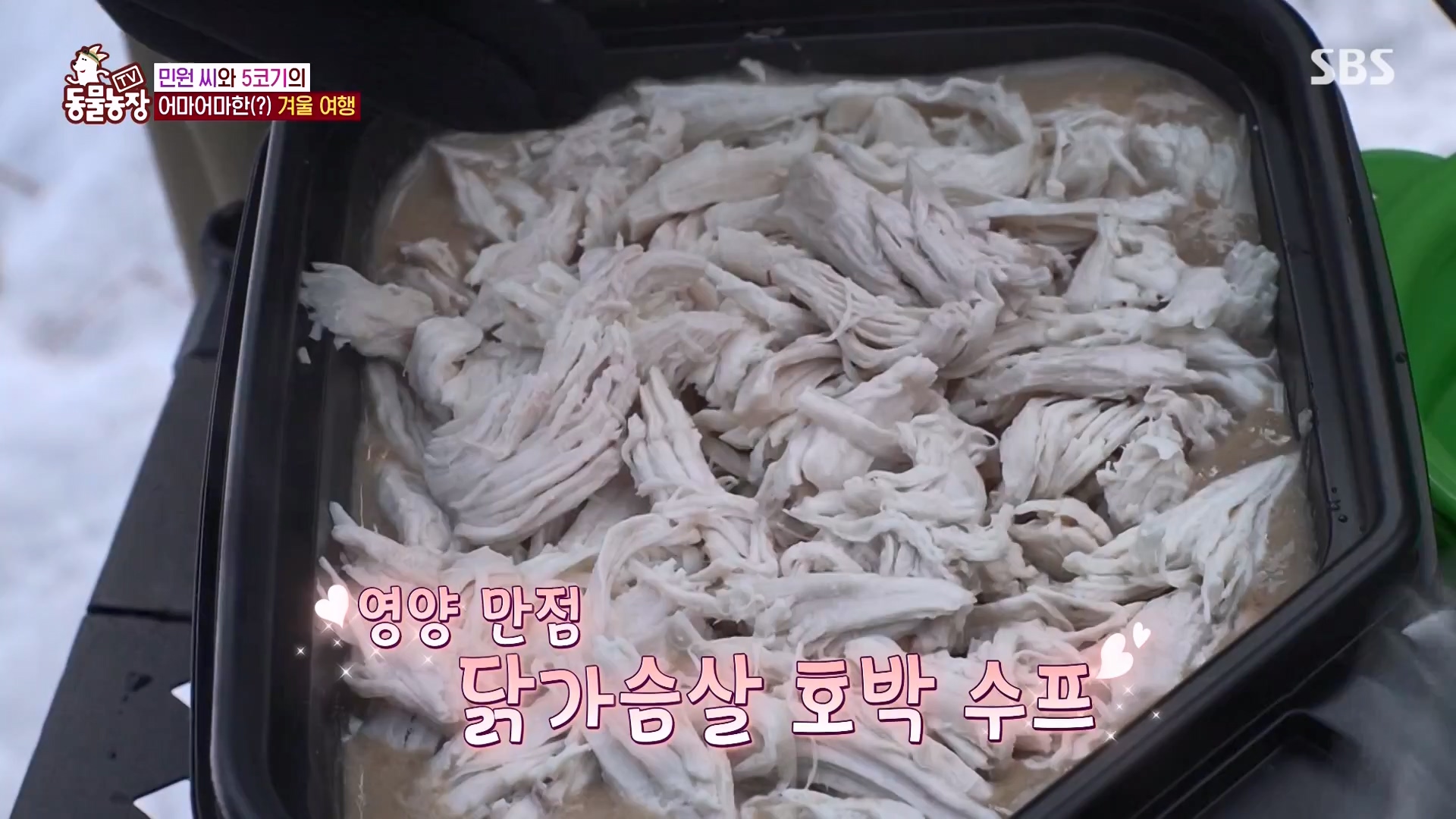 TV 동물농장.E1161.240303p-NEXT.mp4_20240303_172251.462.jpg
