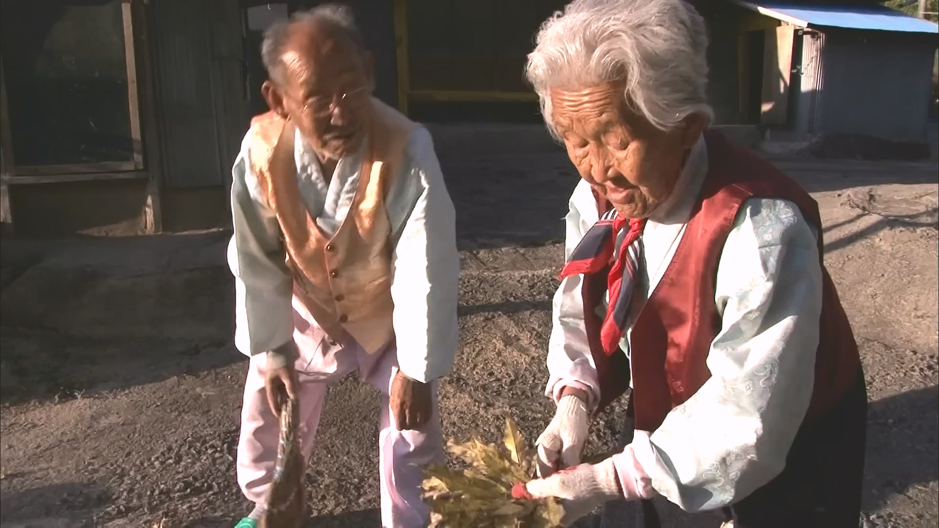 [인간극장 다시보기] 다시 태어나도 서로밖에 없다 하시는 백발의 황혼 부부, 따뜻하고 싱그러운 신혼일기 제2막이 시작된다 KBS 방송.mp4_20240415_133445.102.jpg