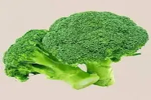 브로콜리