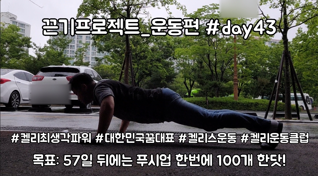  켈리최 회장님과 함께하는 끈기프로젝트 운동편 day43