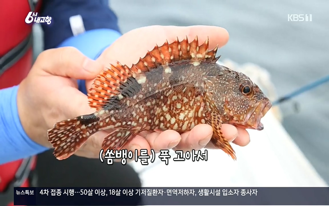 6시 내고향.E7596.220813p.H264-F1RST.mp4_20220814_175813.407.jpg