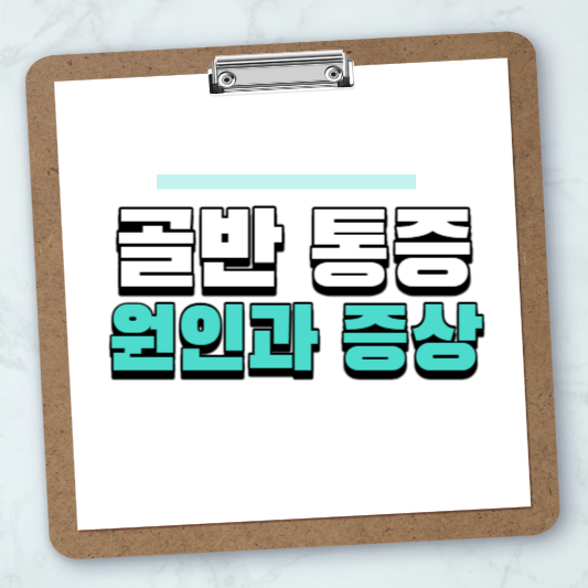 골반 통증 원인과 증상 알아보기
