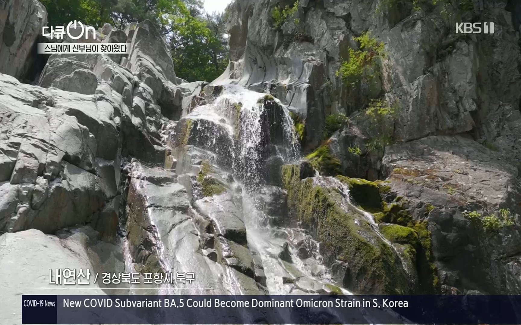 다큐 On.E148.220715p.H264-F1RST.mp4_20220717_131422.062.jpg