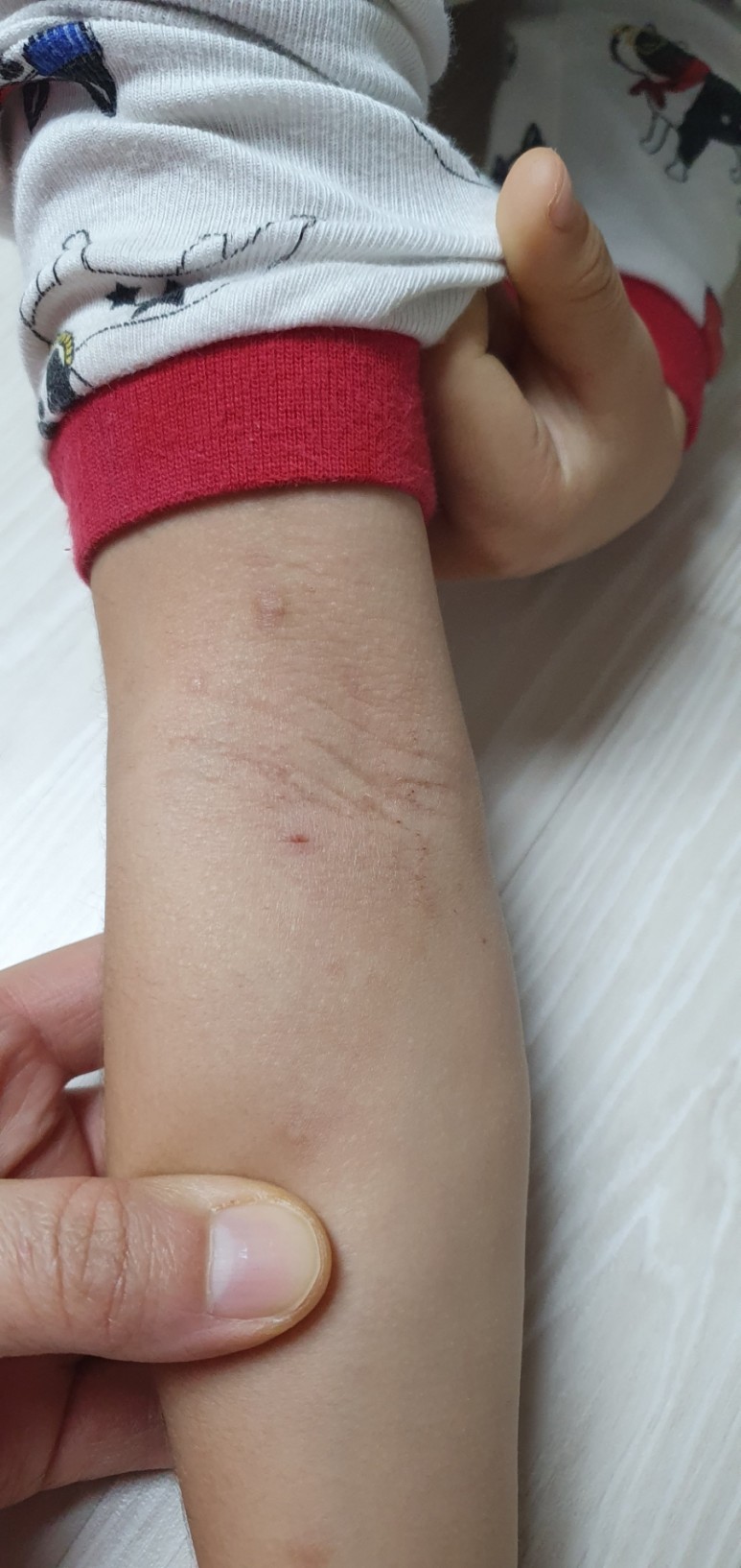 구원자 30대피부 갓성비 화장품 ::썬로이화장품::오래된식빵 같은 내 피부의 15