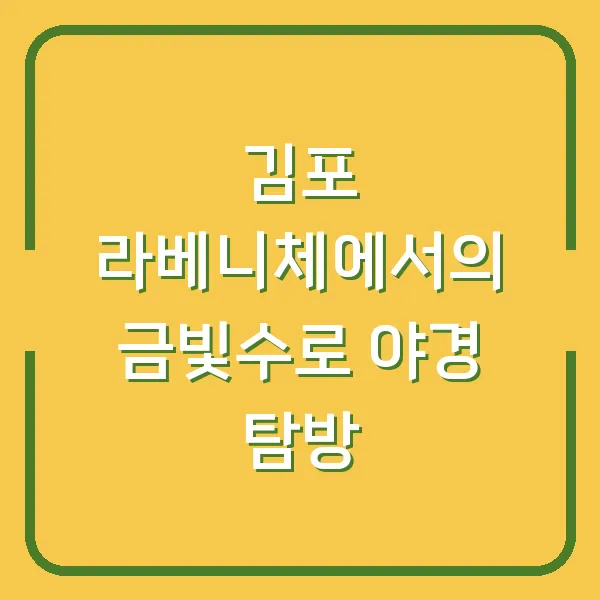 김포 라베니체에서의 금빛수로 야경 탐방