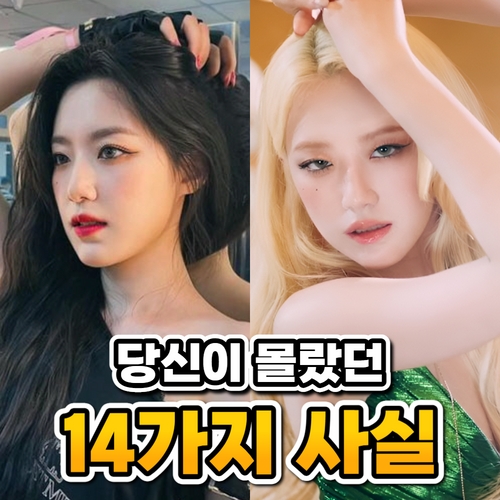  슈화 프로필 나이 키 과거 성격 ( 당신이 몰랐던 14가지 사실 )