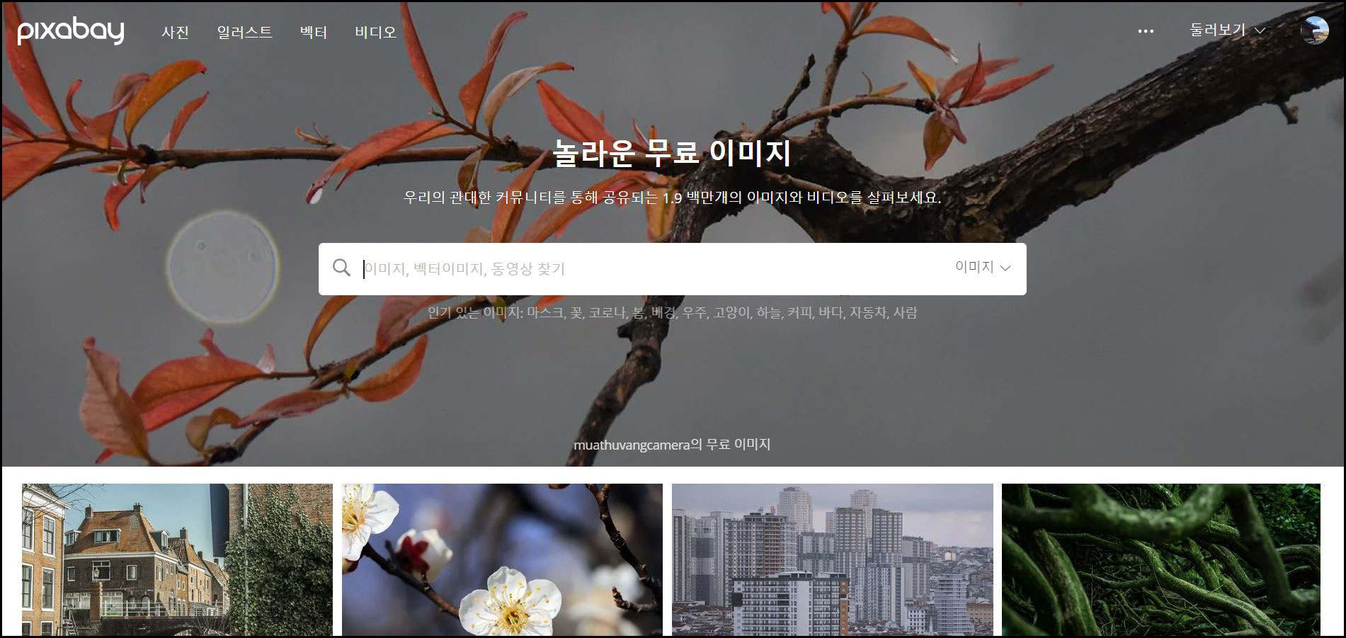  상업용으로 사용 가능한 이미지를 저작권 무료로 제공해주는 픽사베이 이용방법