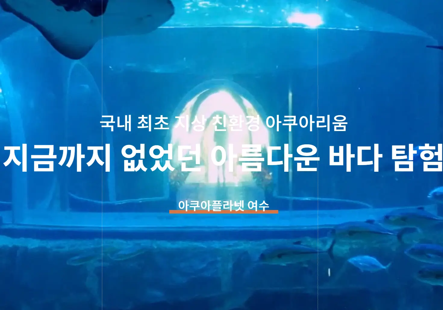 여수 아쿠아플라넷