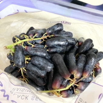 8월 제철음식 블랙사파이어