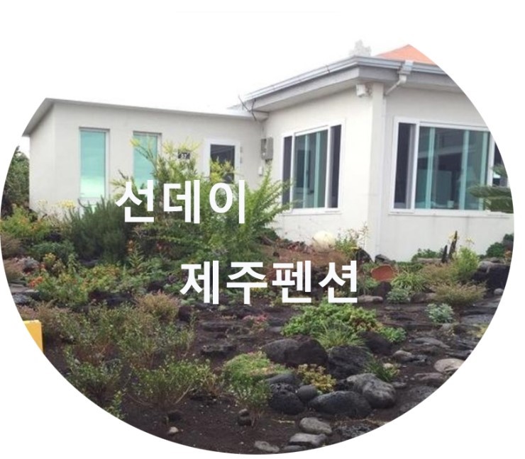  제주도 선데이 펜션 후기 & 소개 (바다가 보이는 제주 펜션)