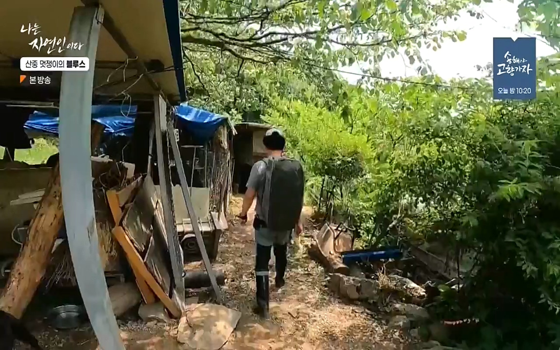 나는 자연인이다.E505.220609p-NEXT.mp4_20220609_200146.840.jpg
