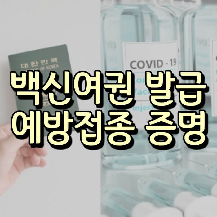  백신여권 블록체인 활용으로 도입 가능성 (정부 자료 제공 거부?)