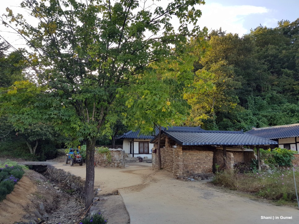 리틀 포레스트 촬영지 [경북 군위 여행] 22