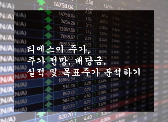  티에스이 주가, 주가 전망, 배당금, 실적 및 목표주가 분석하기(TSE)
