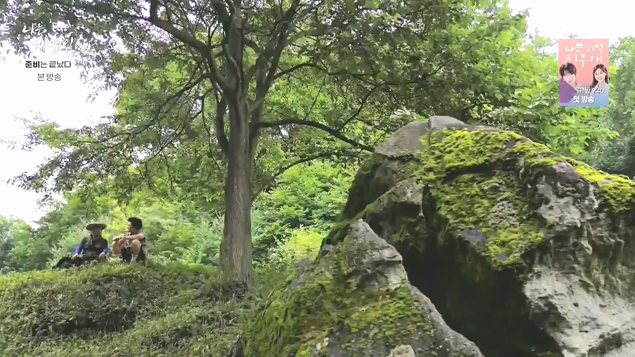 나는 자연인이다.E616.240732p-NEXT.mp4_20240801_195128.403.jpg