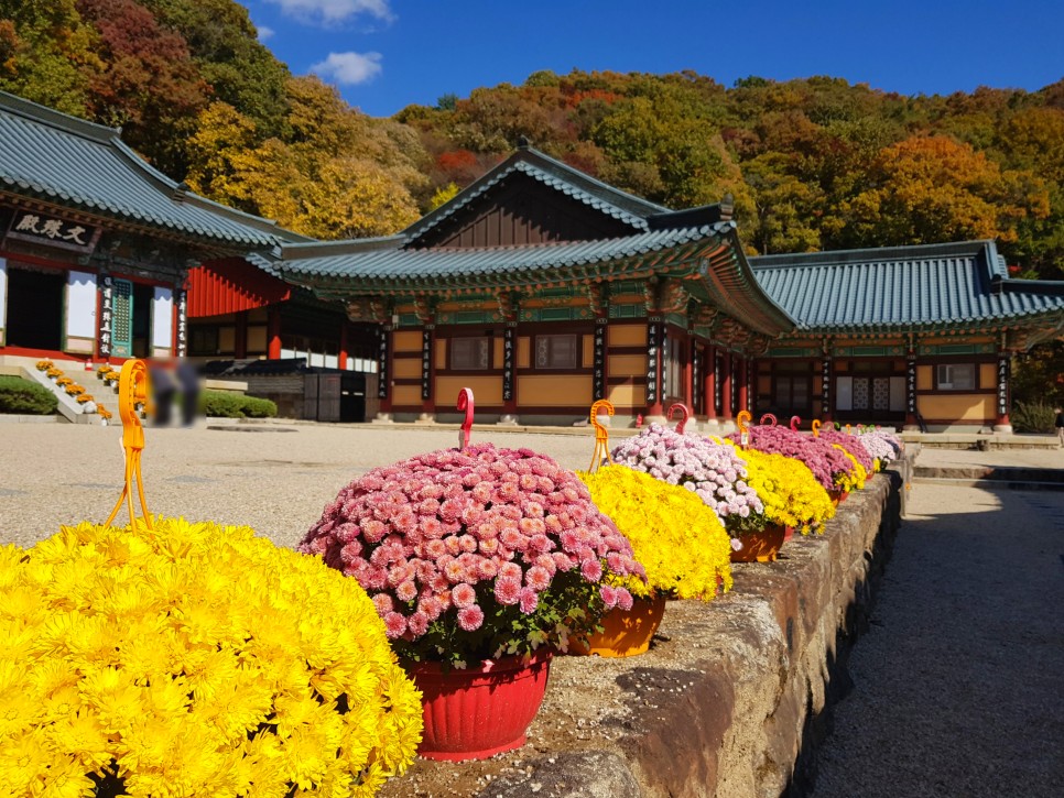 장소! 칠불사의 가을 풍경을 감상하세요:) 하동칠불사의 가을 멋진 자태를 품은 30