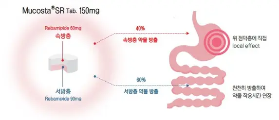 뮤코트라-서방정-레코미드-서방정-무코텍트-서방정-구조